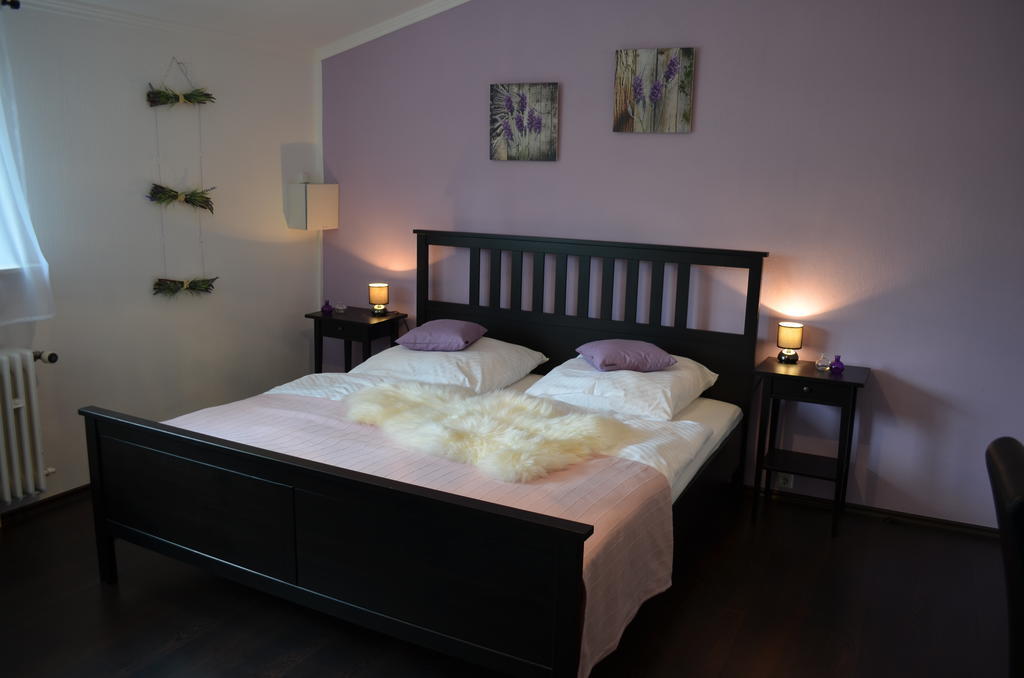 Wolfschlucht Hotel Rodgau Bilik gambar